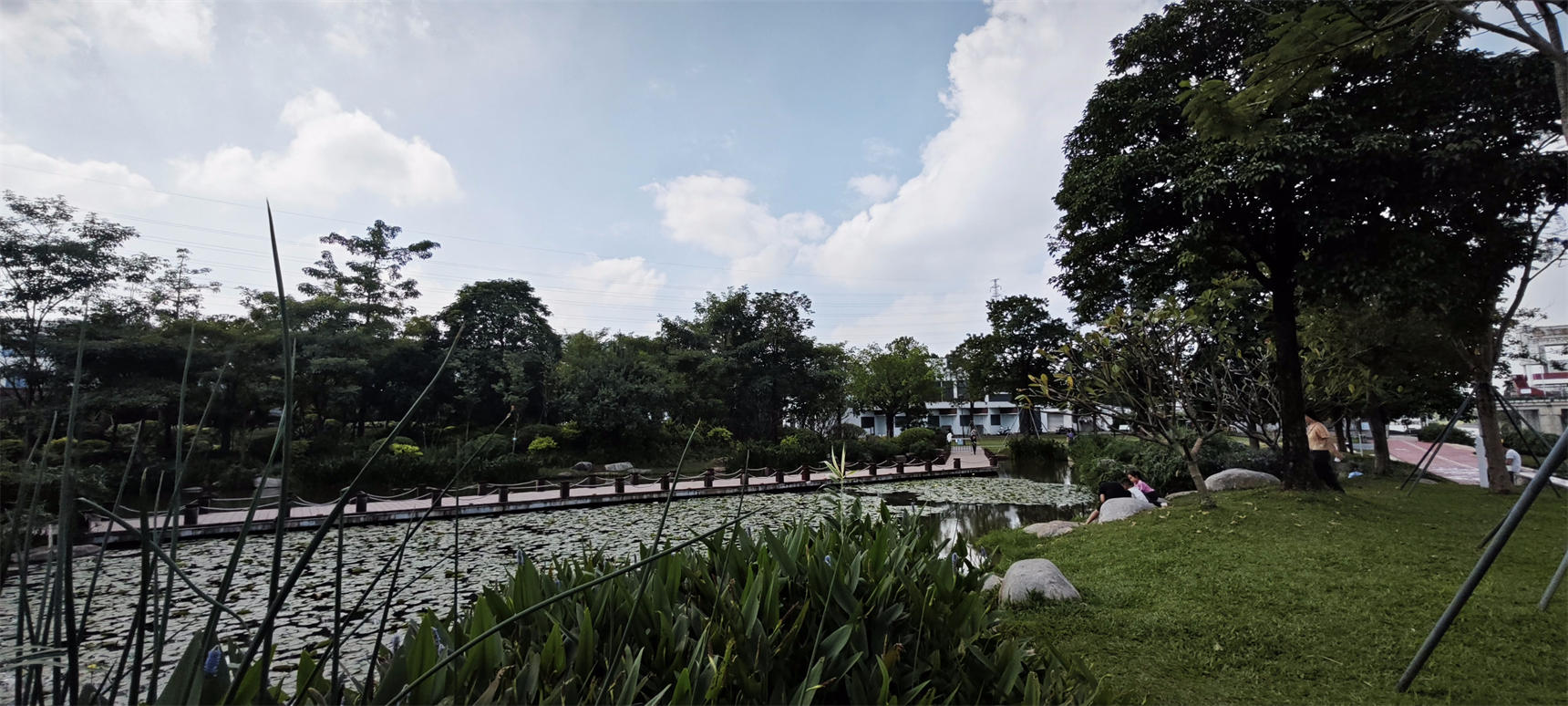 深圳市燕罗湿地公园