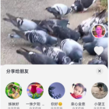 piwMrWj.png