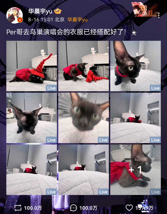 piBSiwt.png