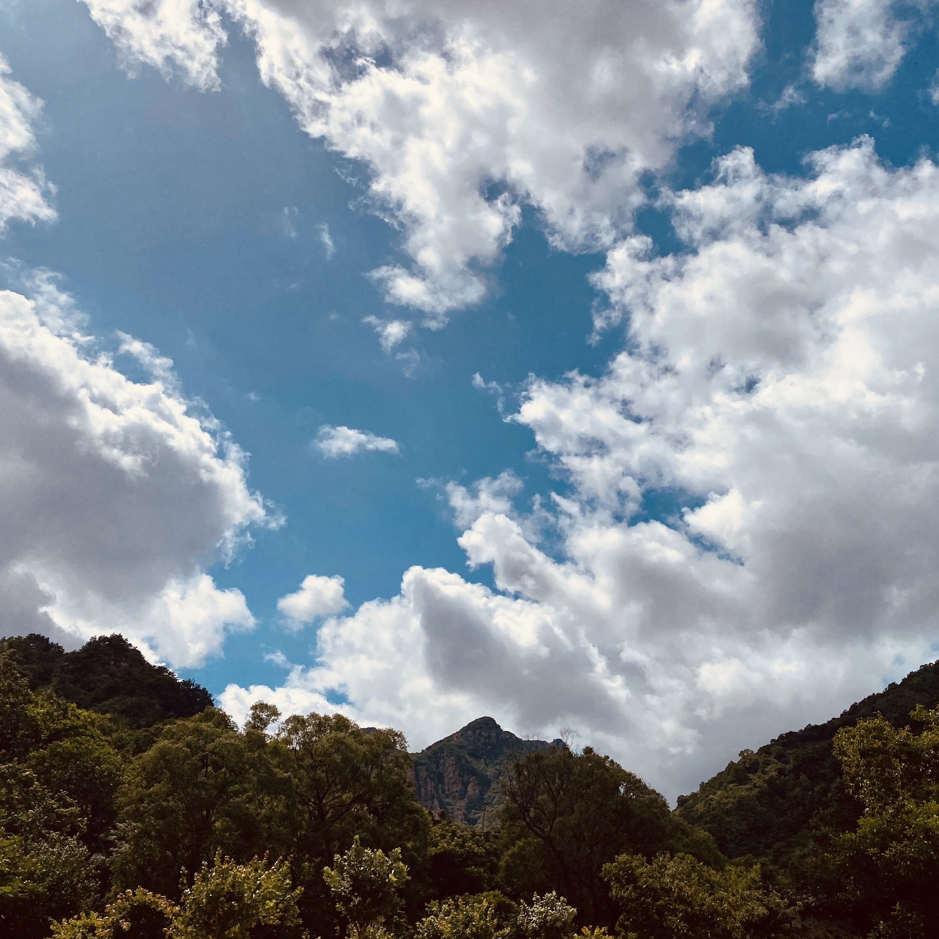 蓝蓝的天空