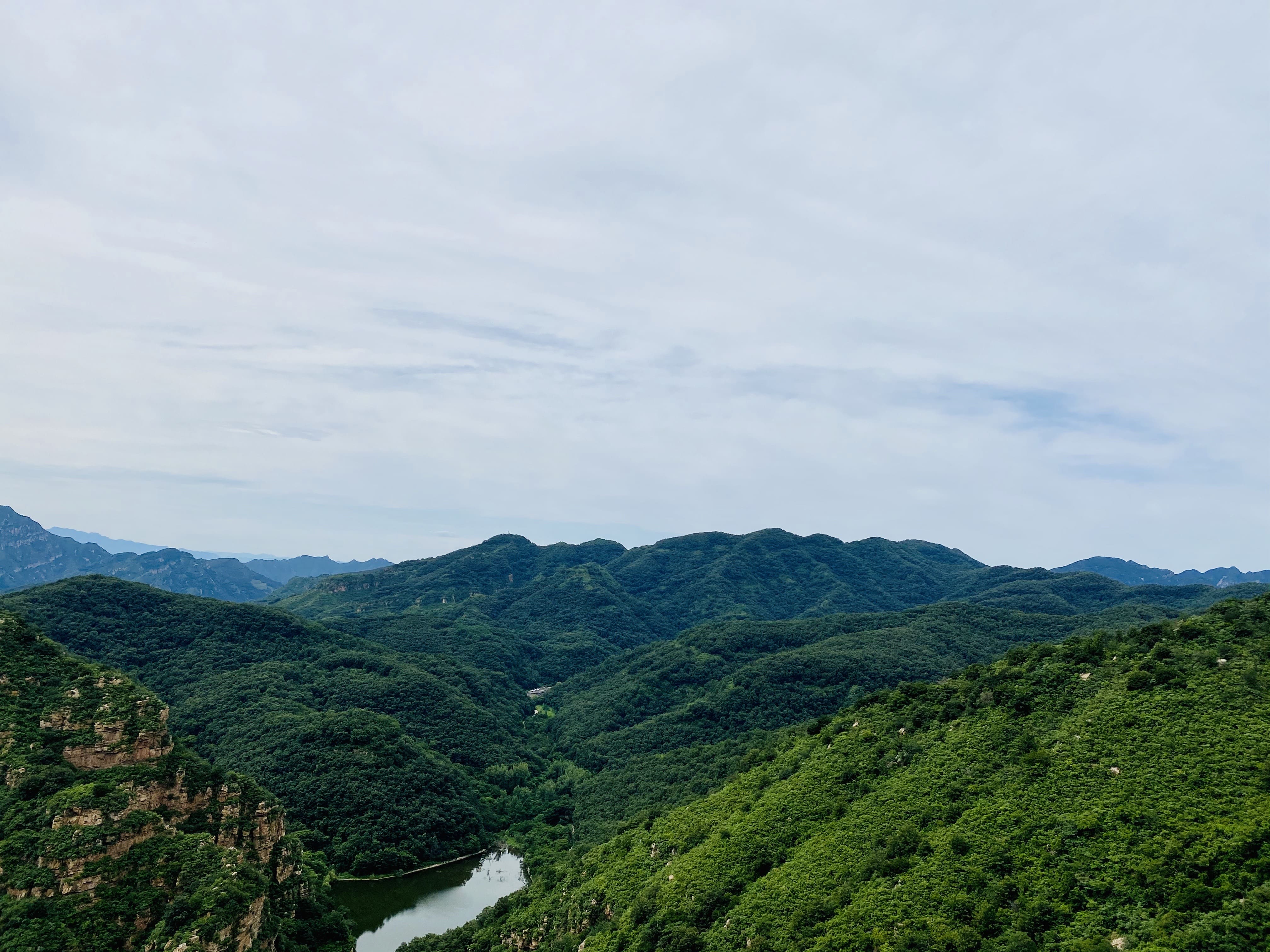 青松翠柏