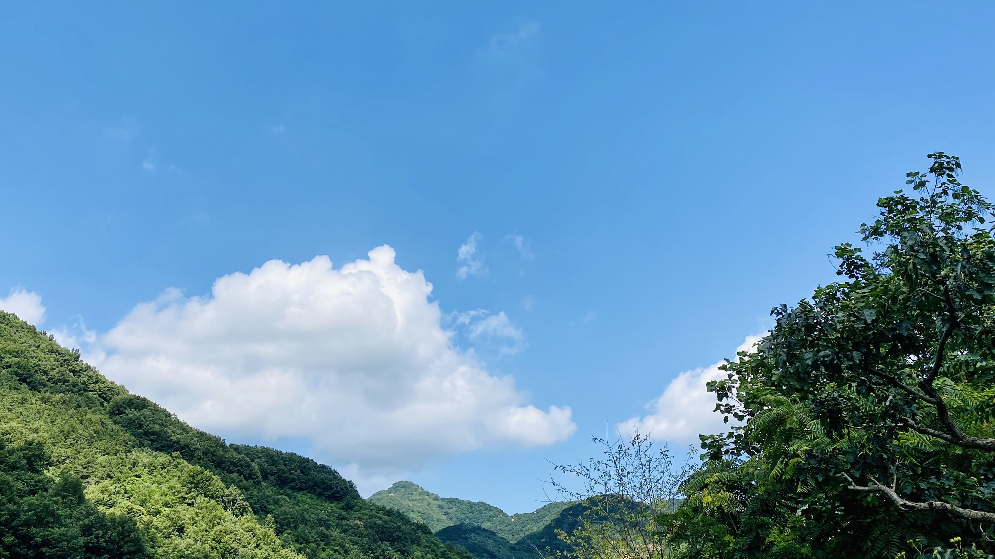 棉花糖