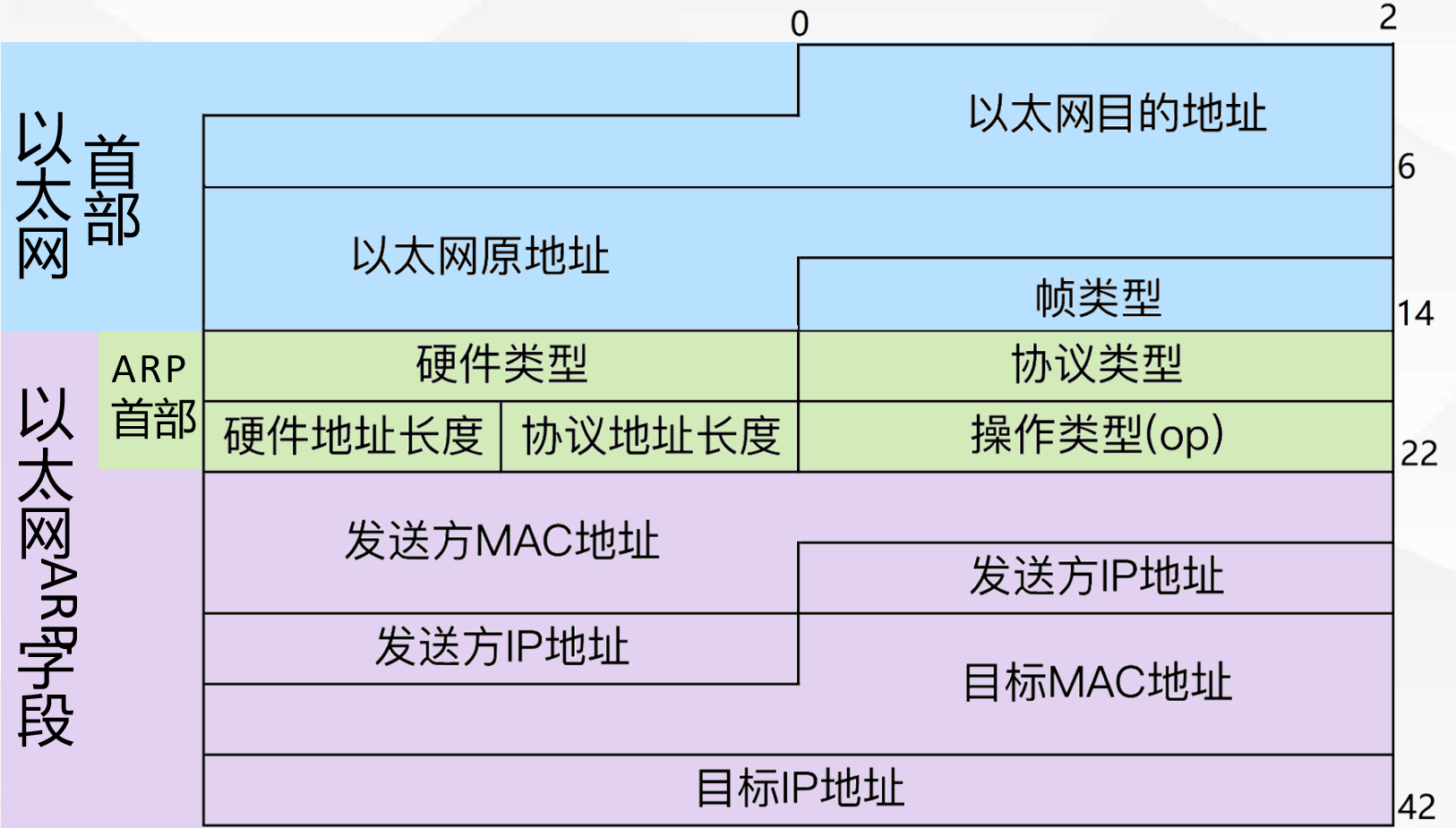 ARP报文结构