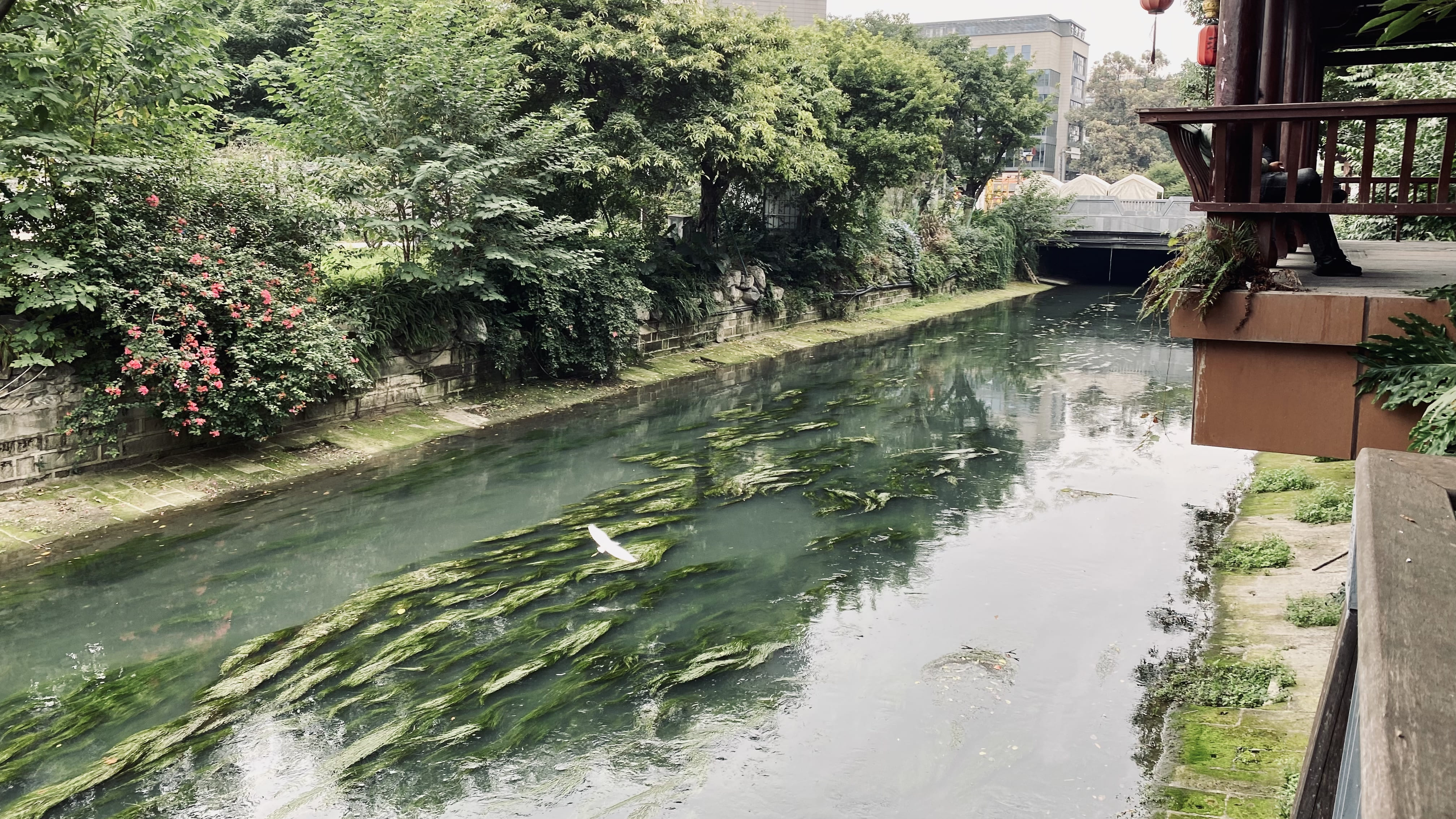 城市水系