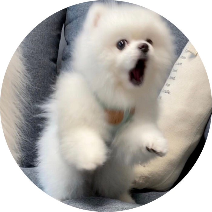 𝟞𝟙𝟡'𝕤 𝔹𝕃𝕆𝔾