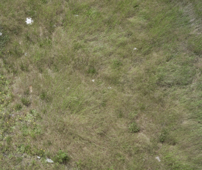 IanHubertSometimes I make cinematic abominations! 有时，我拍出的电影令人憎恶！